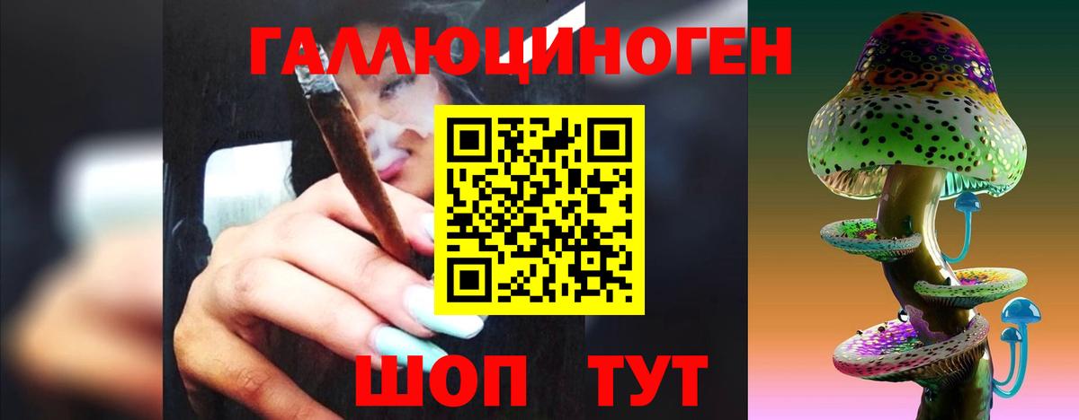 Псилоцибиновые грибы Psilocybine cubensis Надым